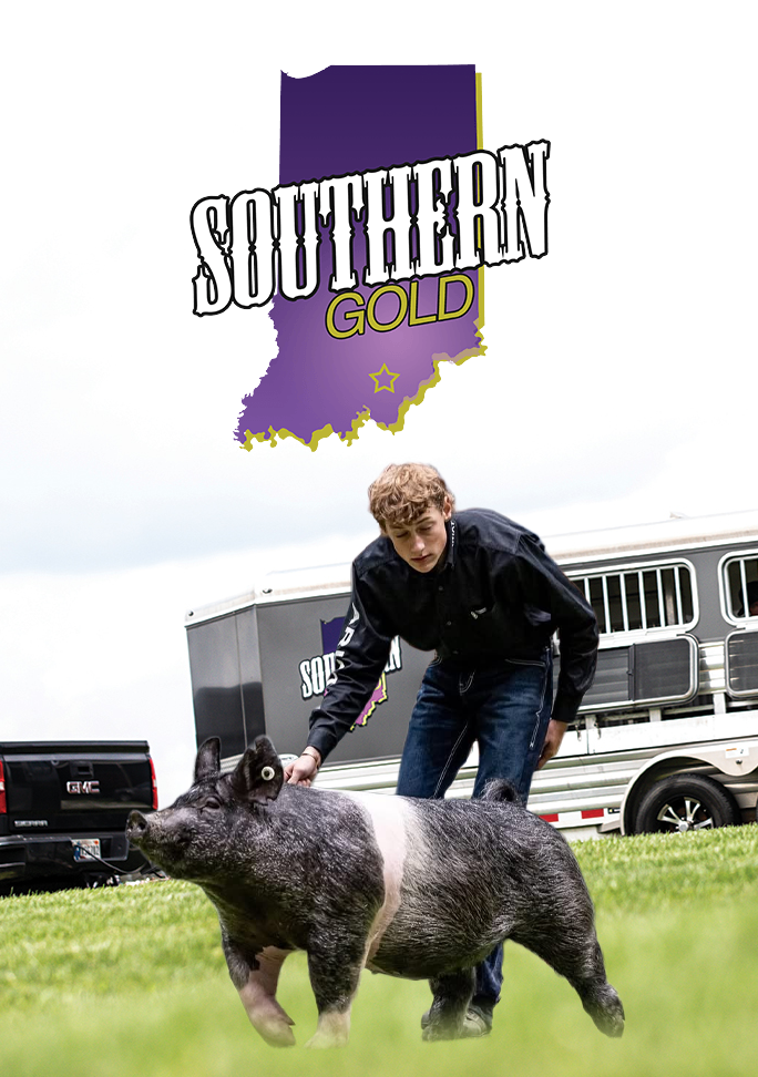 Southern Gold Sires