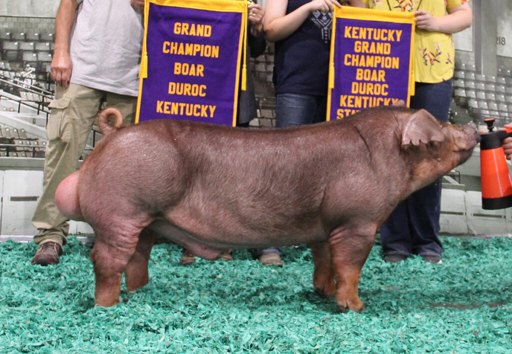KENTUCKY SHINE